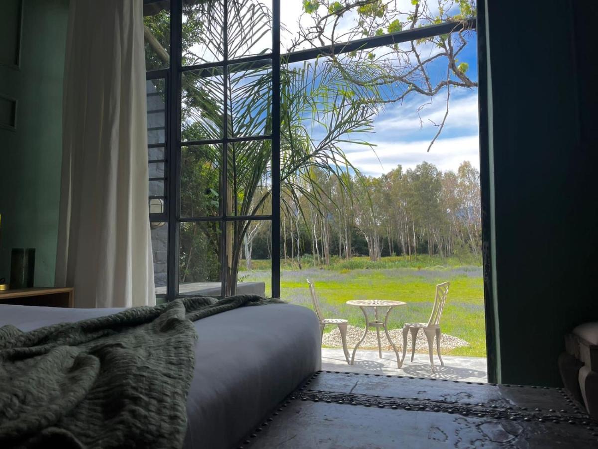Le Reve Boutique Hotel ทุลบักห์ ภายนอก รูปภาพ